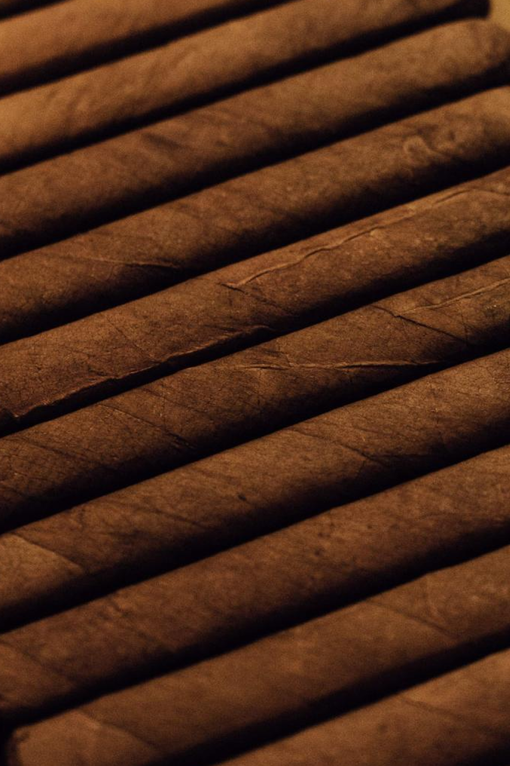 5-Borough-Solutions-About--v4